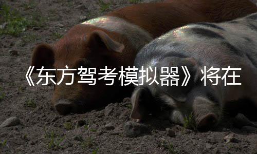 平台拟器陆S在1东将方驾考模2月日登