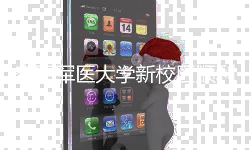 年整利竣区顺迁体搬新校大学军医计划工 空军