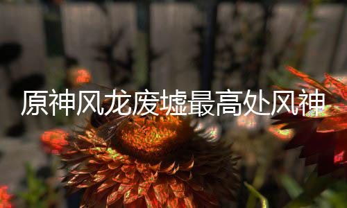 最高攻略处风风龙废墟原神神瞳收集