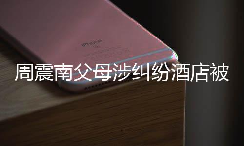 被拍母涉卖 南父起拍千万周震纠纷酒店价九